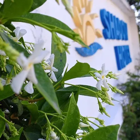Shadow Bed and Breakfast Κουσάντασι
